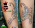 /album/galeria-de-fotos/mr-michael-jpg/